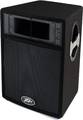 Peavey_st-12